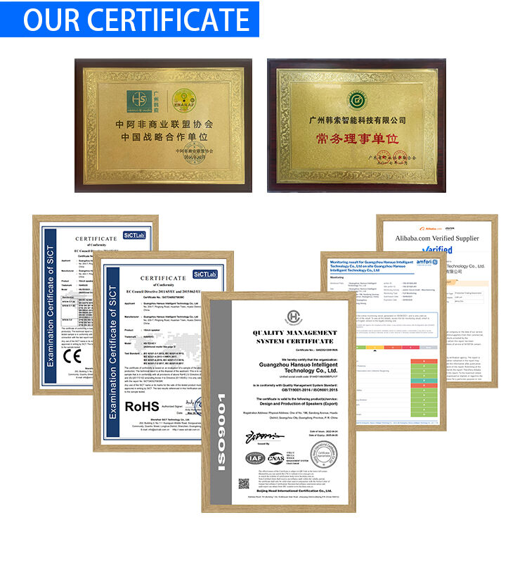 Manufacturer HANSUO Private Mould Multifunctional Audio HS-TD12V8 Powered of 100W Double 12 Inch Woofer and Single Tweeter supplier