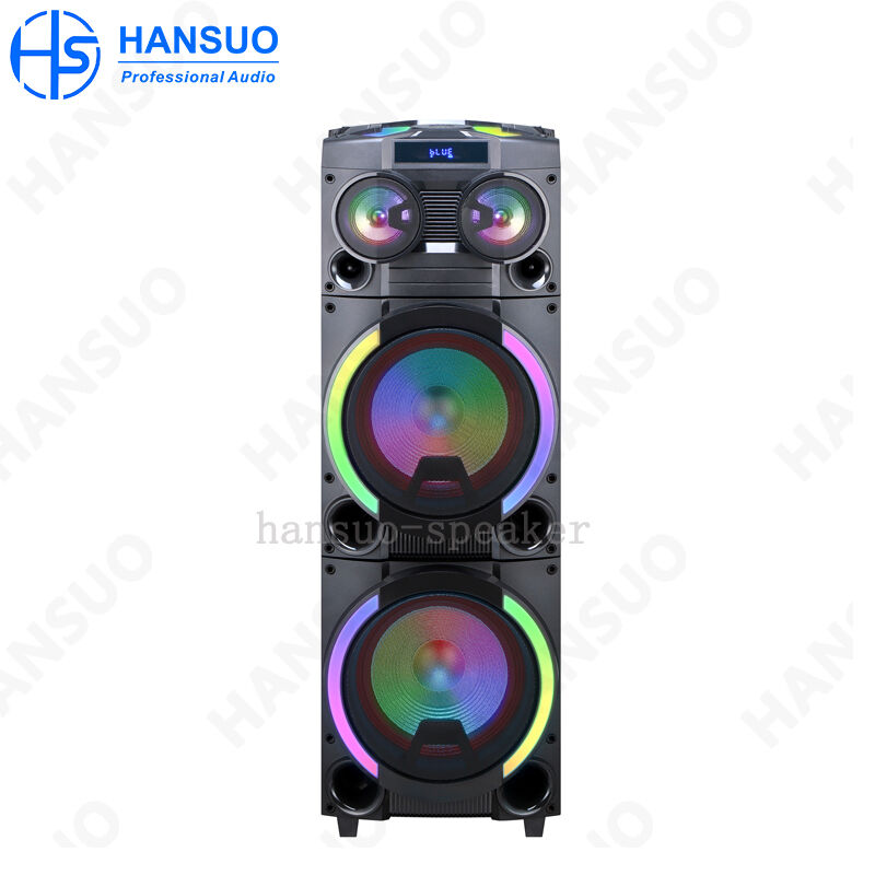 Factory HANSUO Brand Power of 100W Double 12 Inch Woofer and Single Tweeter Multifunctional Speaker HS-TD12P8
