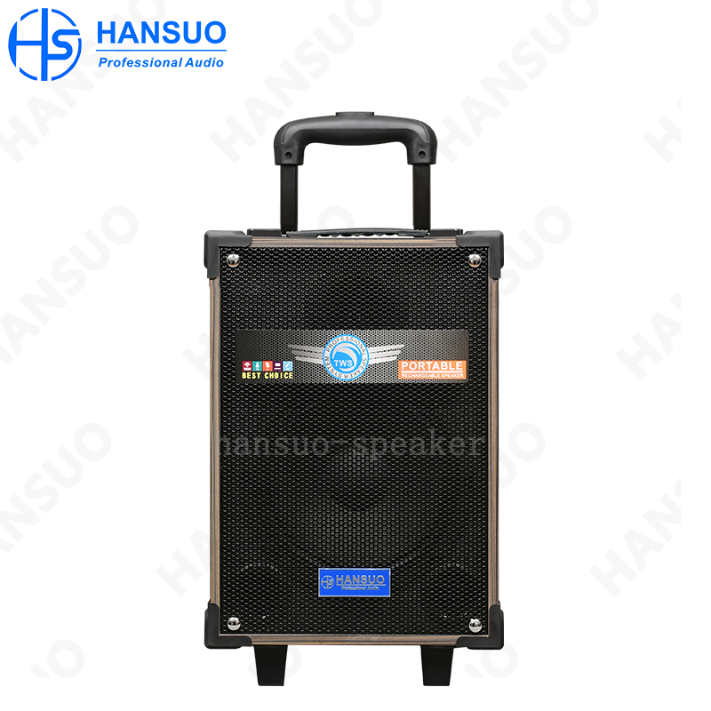 Single 8 Inch Media 50W High Power Party Speaker HS-TS08Q3