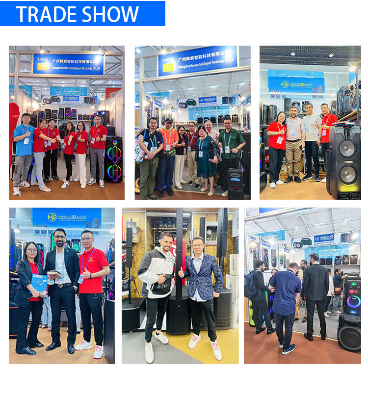 Manufacturer HANSUO Private Mould Multifunctional Audio HS-TD12V8 Powered of 100W Double 12 Inch Woofer and Single Tweeter details