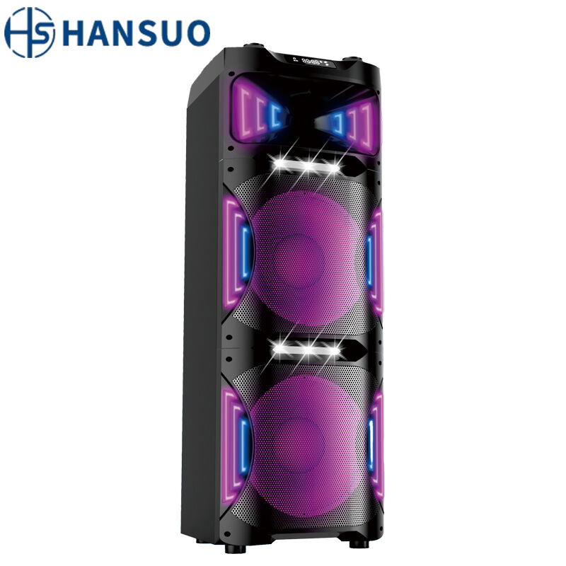 HS-TD12T8 Factory Direct 5.5-Inch Handle Portable DJ Sound System with LED Boomboxes