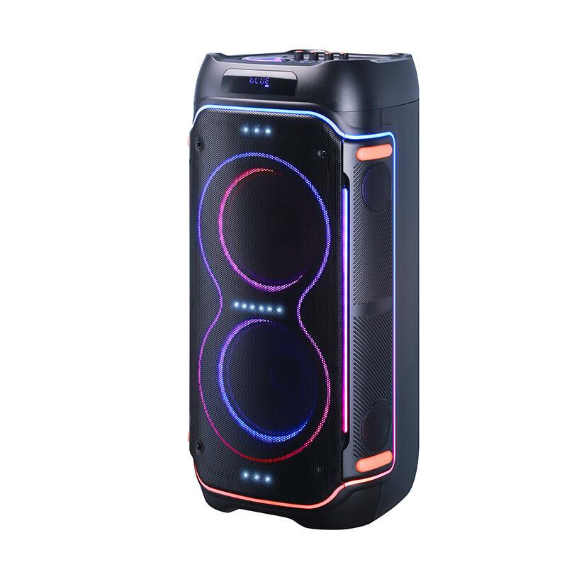 Factory HANSUO Brand Power of 80W Double 8 Inch Woofer and Single Tweeter Portable Speaker HS-TD08L3