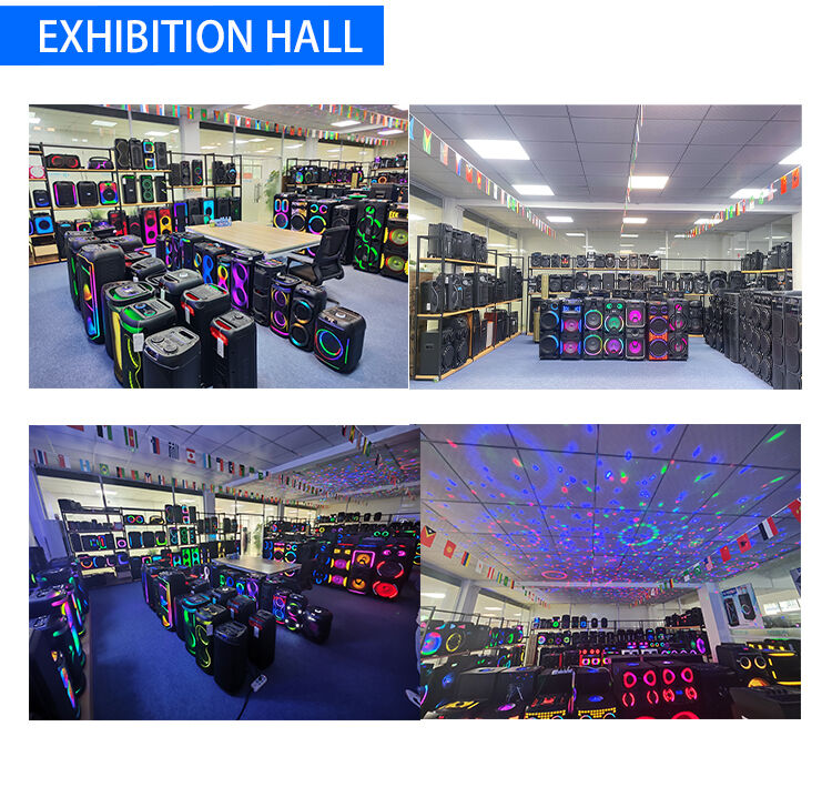 Manufacturer HANSUO Private Mould Multifunctional Audio HS-TD12V8 Powered of 100W Double 12 Inch Woofer and Single Tweeter supplier