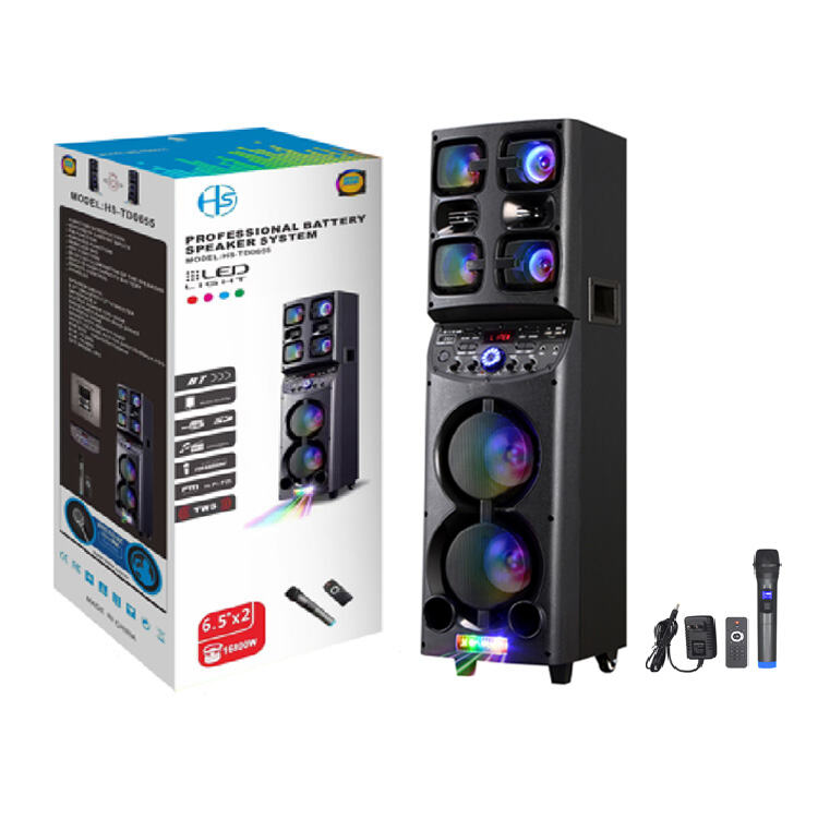 Factory HANSUO Brand Power of 50W Double 6.5 Inch Woofer and Double 3 Inch Tweeter Portable Speaker HS-TD0655 factory