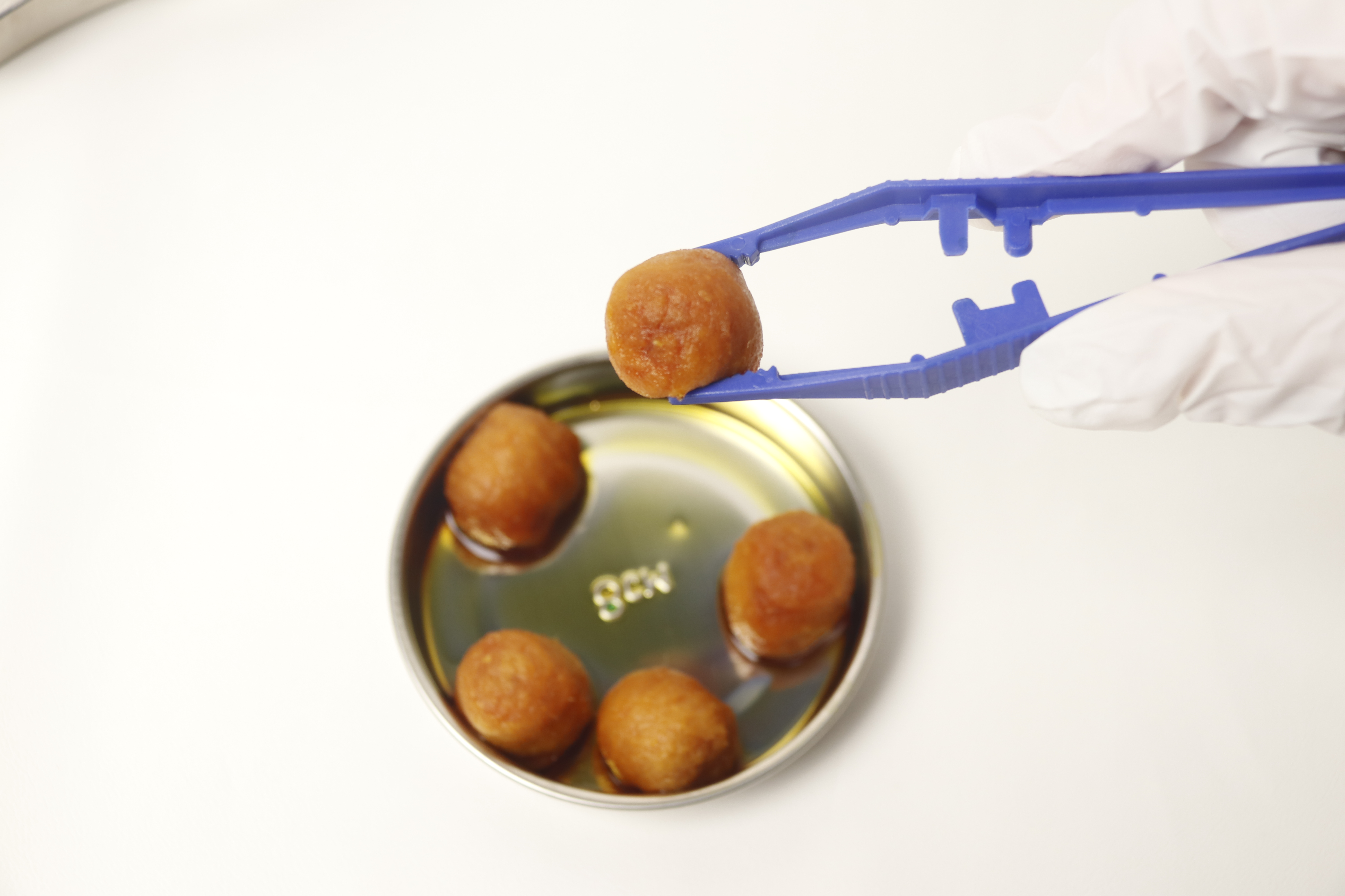 Sterylna opakowanie i przedłużona niezawodność trwałości