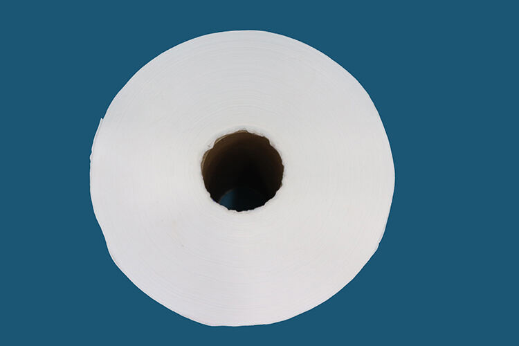 Ανατομικό Σχέδιο για Επαγγελματικές Εφαρμογές