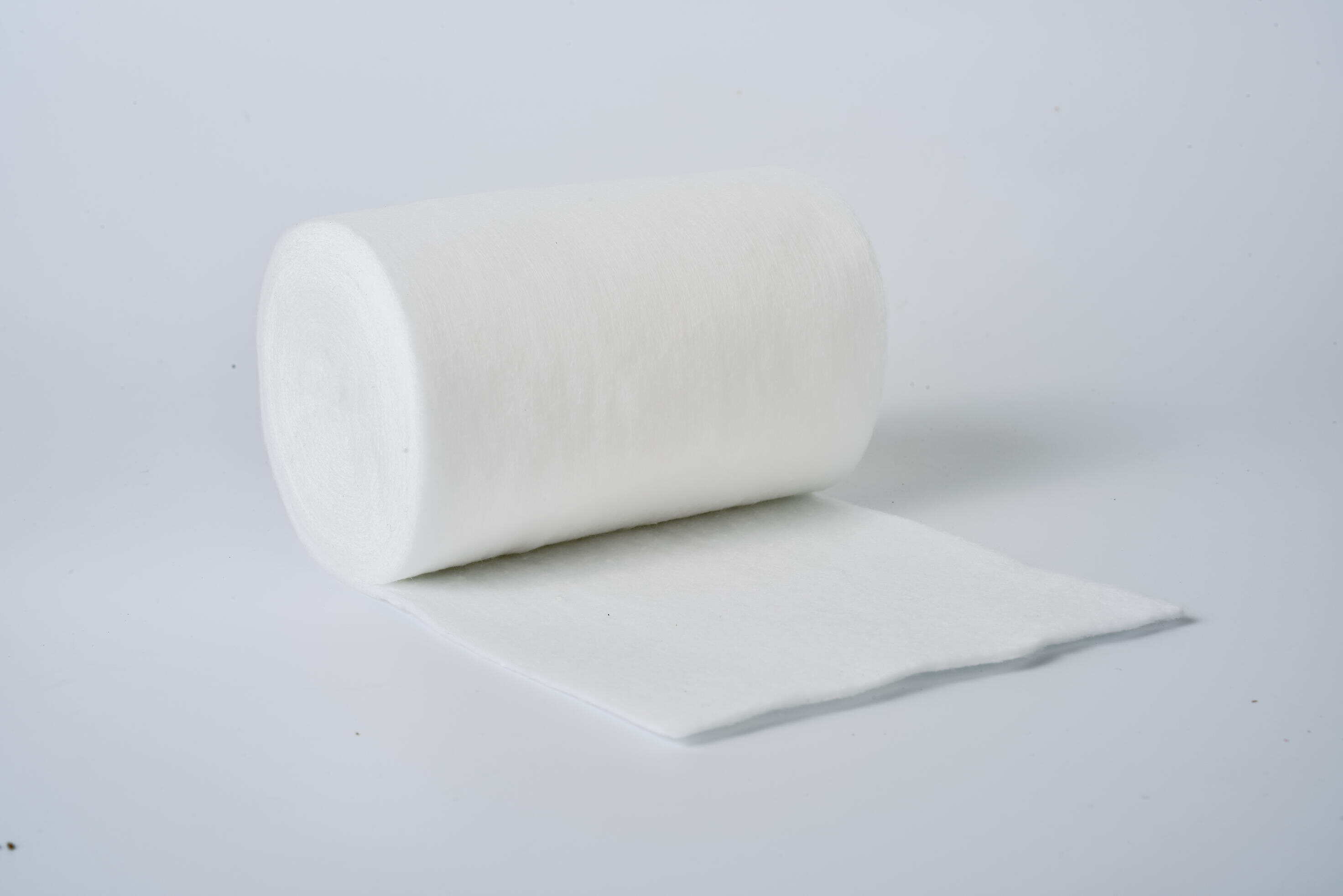 Komprehensibong Kontrol sa Impeksyon at Pagsunod sa Kaligtasan