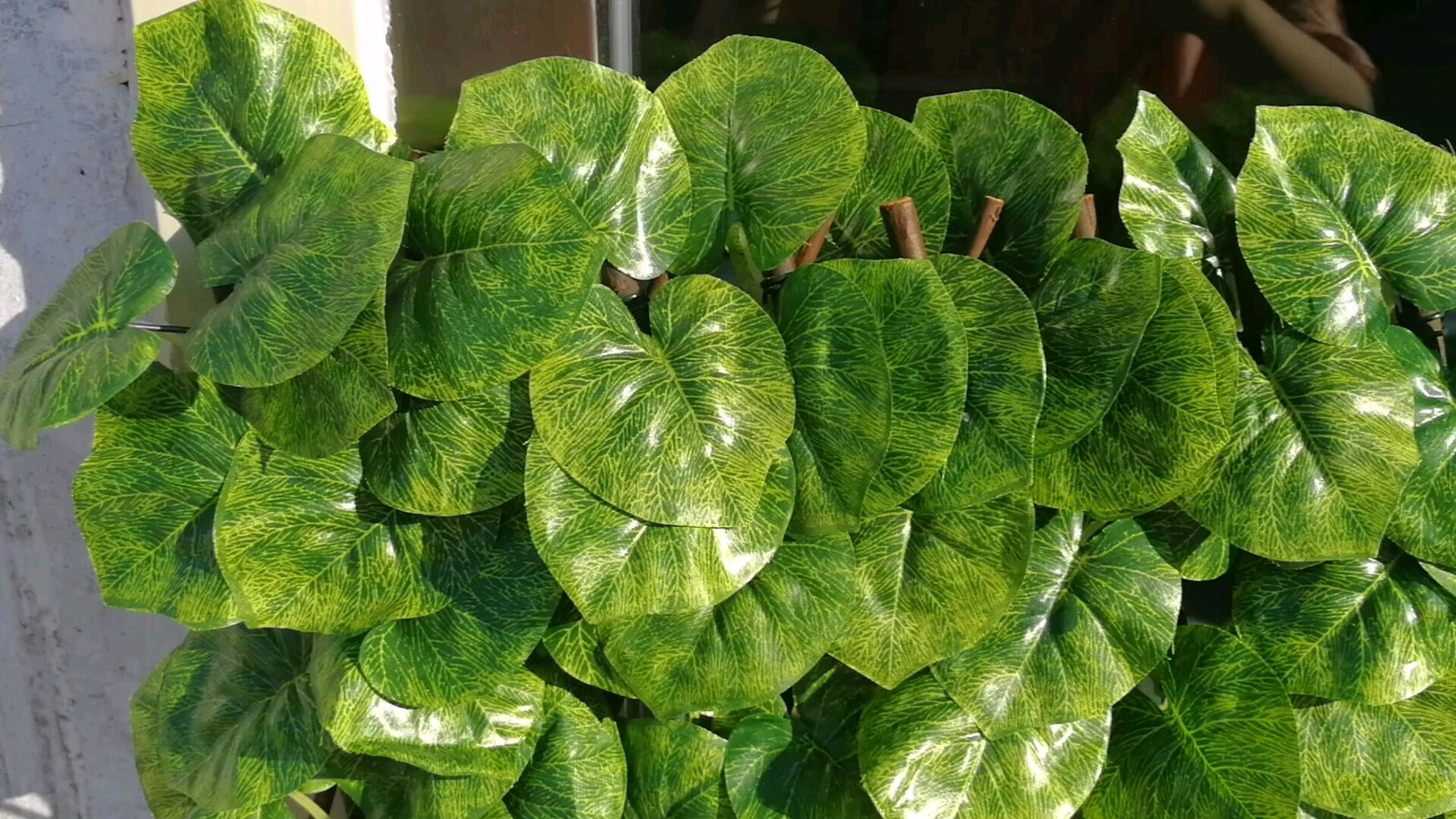 Garden Fence