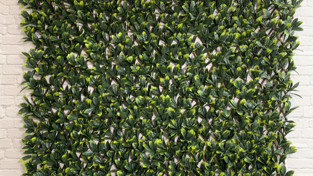 This is an artificial leaf willow trellis. You can use it as fence when you expand it, environmental protection.