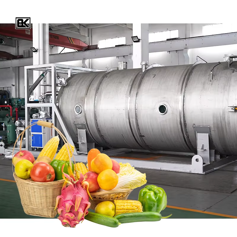 Why Freeze Dried Food Fruit Is a Preferred Ingredient in Healthy Snacks