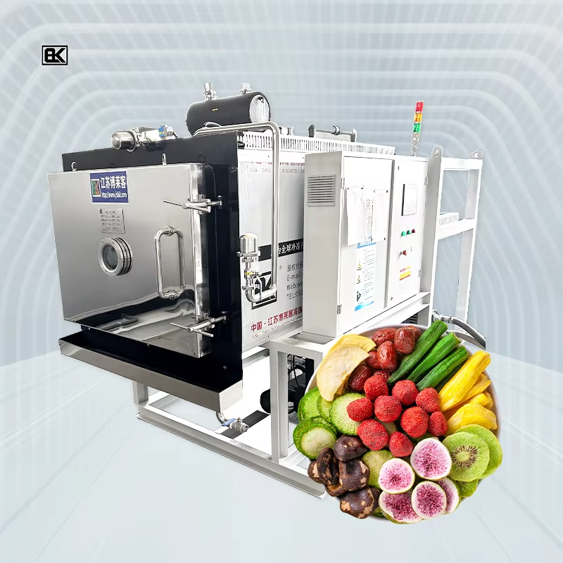The Importance of a Powerful vacuum freeze drying system for Product Quality