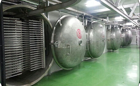 Fruit freeze drying project in USA