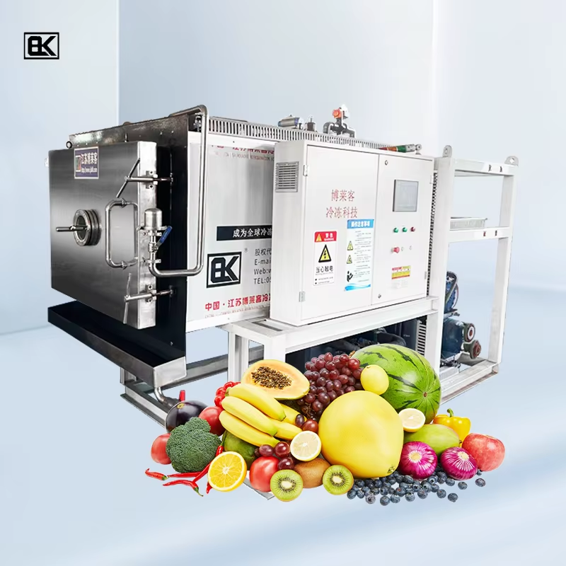 The role of a large capacity freeze dryer in creating high-value ingredients