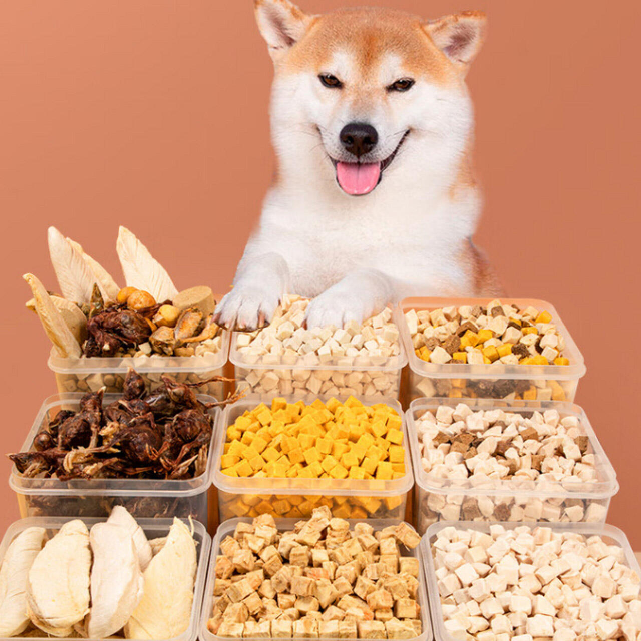 Freeze drying pet food