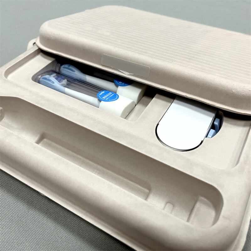 Eco-Friendly Molded Pulp Packaging for Electronic Toothbrush