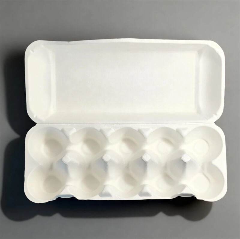 Environmentally Friendly Molded Pulp Packaging For Egg Cartons