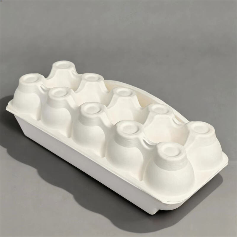 Environmentally Friendly Molded Pulp Packaging For Egg Cartons