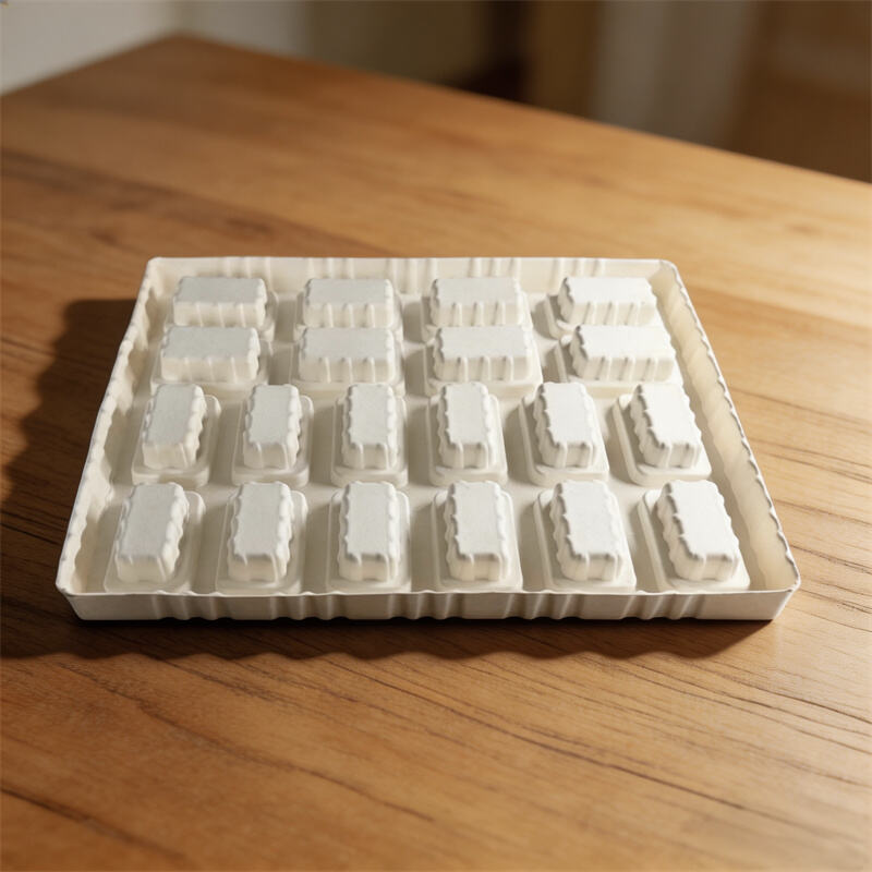 Eco-friendly molded pulp Food Insert / Inner tray
