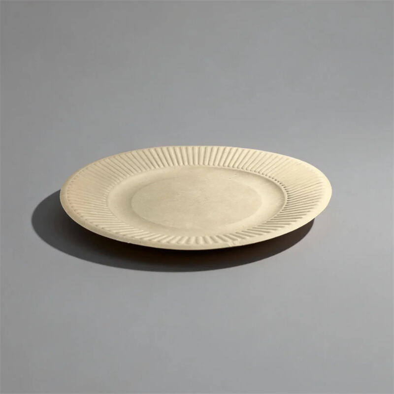  Molded Pulp Sustainable Eco-friendly Round Plates