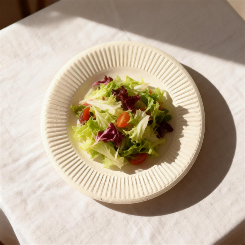  Molded Pulp Sustainable Eco-friendly Round Plates