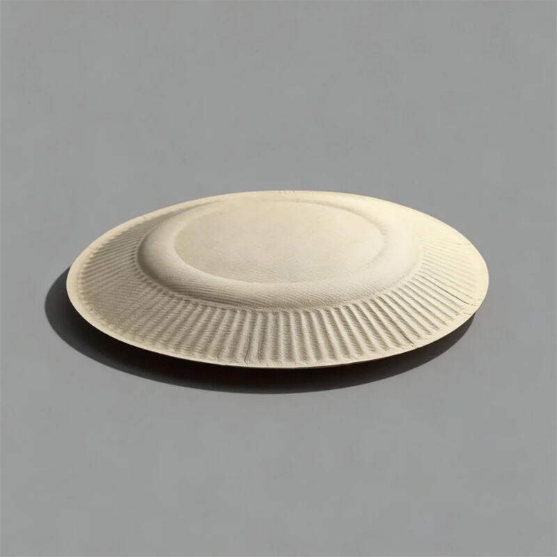  Molded Pulp Sustainable Eco-friendly Round Plates