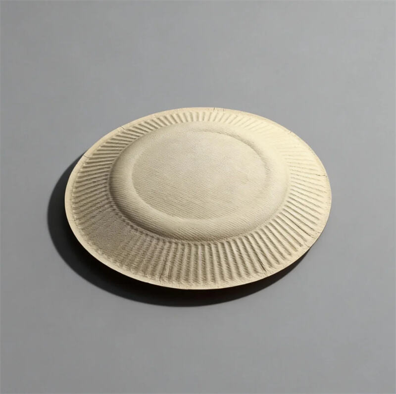  Molded Pulp Sustainable Eco-friendly Round Plates