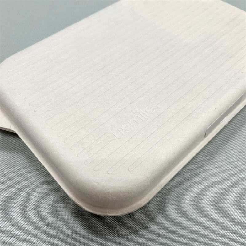 Eco-Friendly Molded Pulp Packaging for Electronic Toothbrush