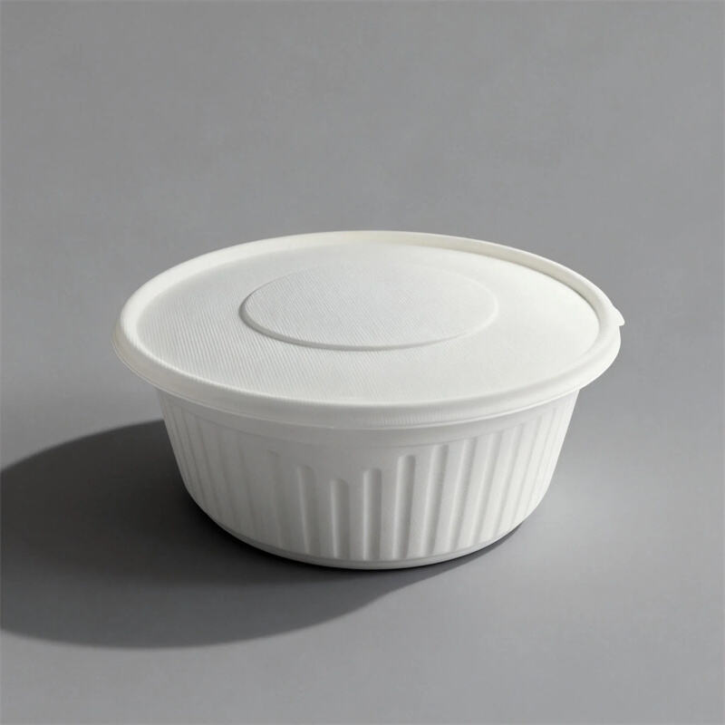Compostable Eco - Friendly Molded Pulp Food Containers