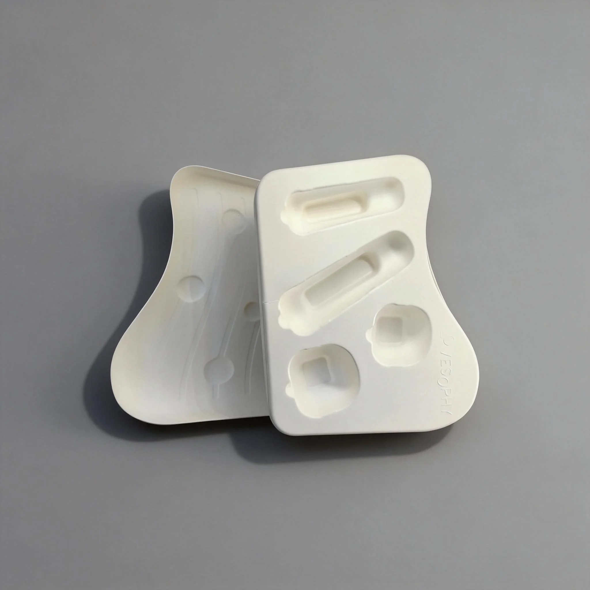 Eco-Friendly Biodegradable Molded Pulp Gift Package