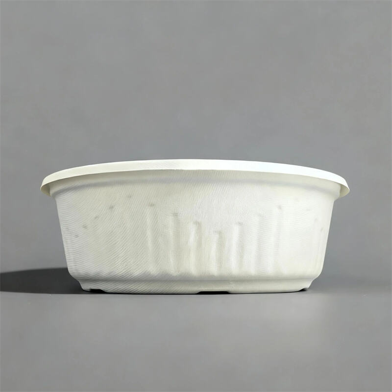 Compostable Eco - Friendly Molded Pulp Food Containers