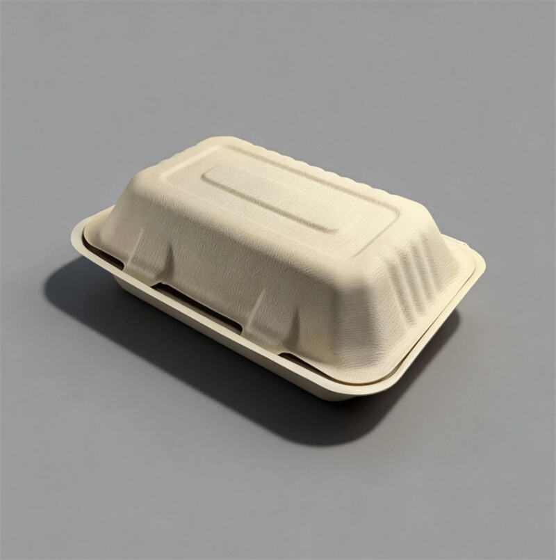 Molded Pulp Sustainable Clamshell Tableware