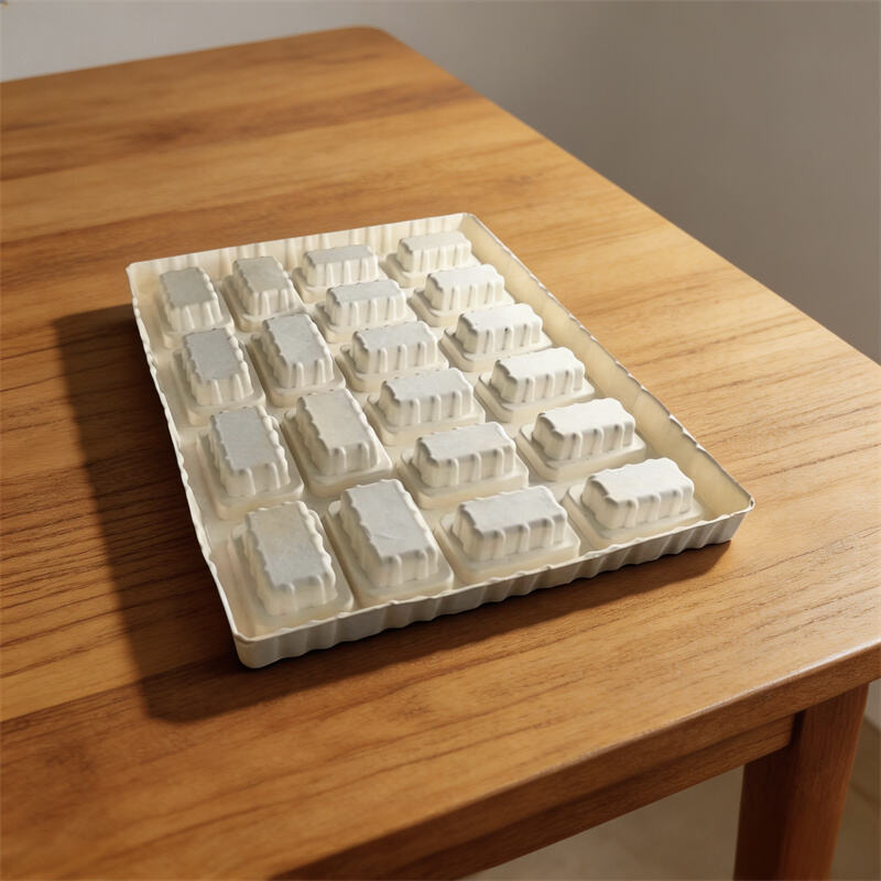 Eco-friendly molded pulp Food Insert / Inner tray