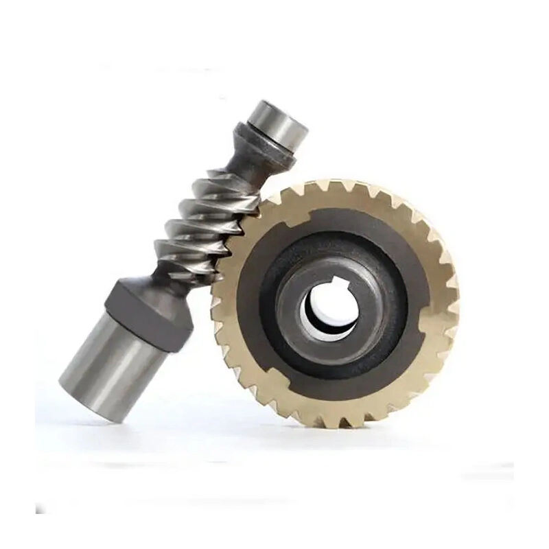 Professional Factory Customized Mechanical Gears Automatic Differential Mini Worm Gear / Small Modulus details