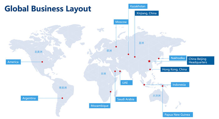Projects Span The Globe, With a Global Business Layout
