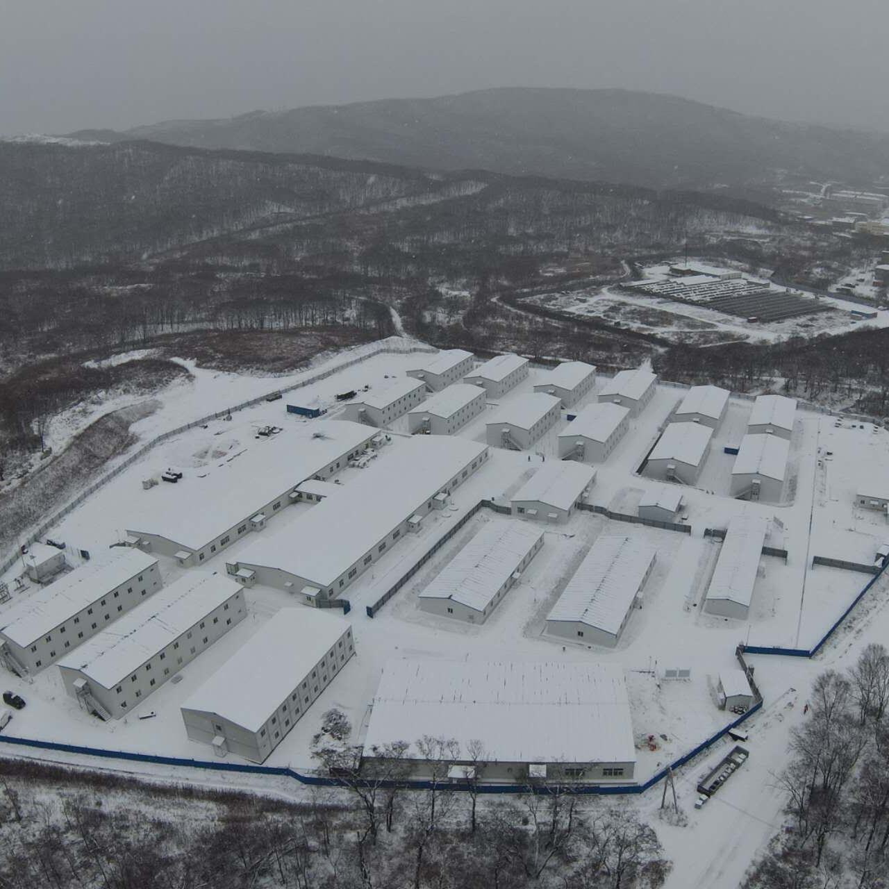 Ambiens Frigidissimus