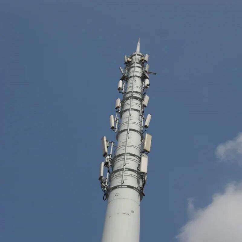 Comprehensive Design Flexibility and Engineering Expertise