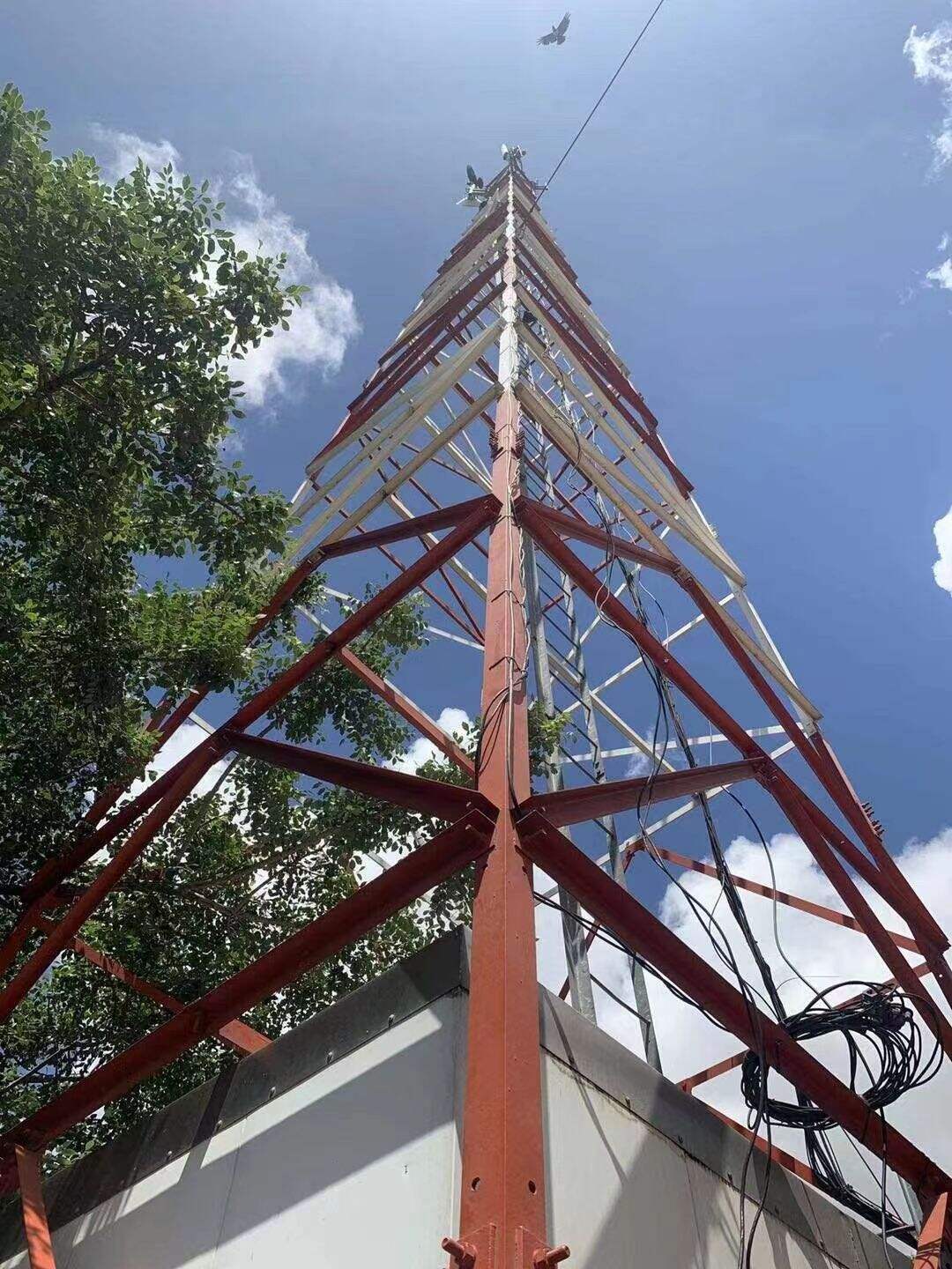 Streamlined Vendor Selection and Procurement Efficiency