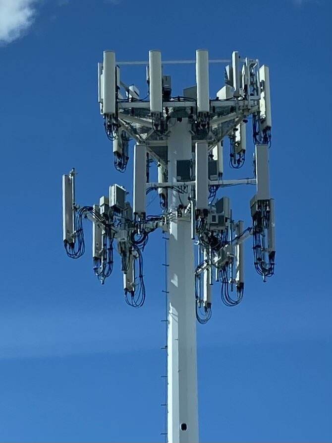 Global Market Leadership and Sustainable Innovation