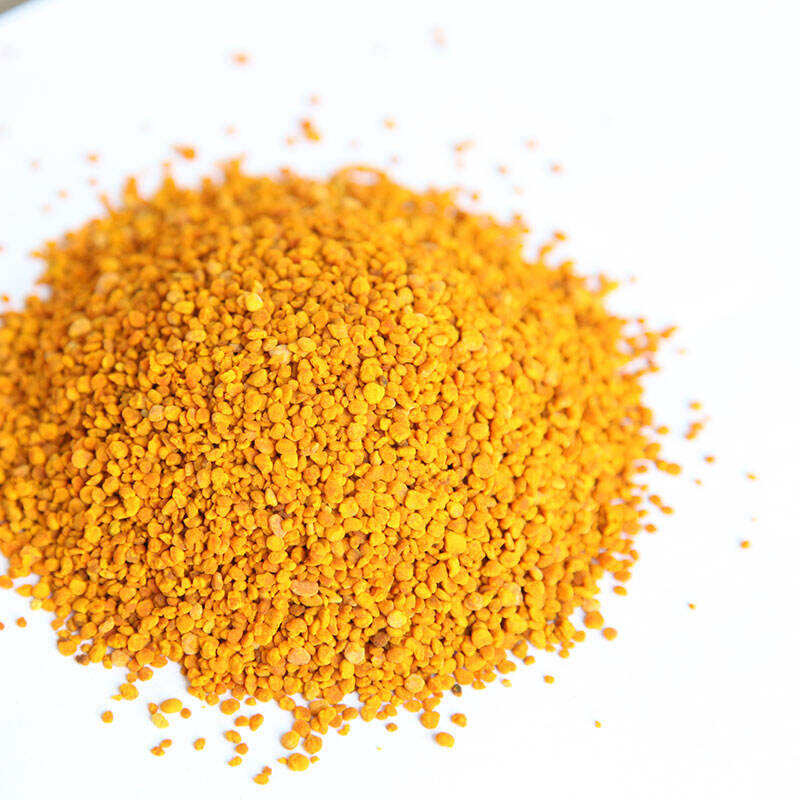 Bee Pollen for Pets: Enhancing Your Pet's Health and Vitality