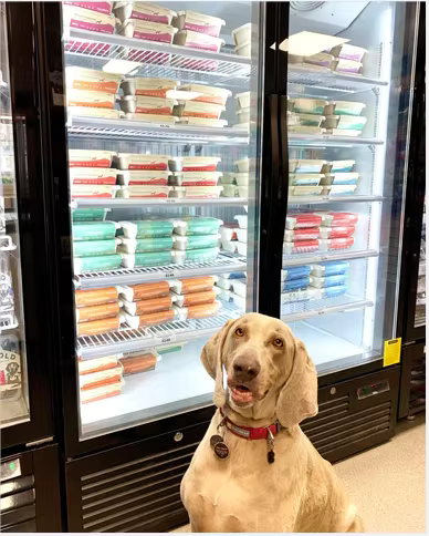 Apache Customized Metal Floor Display Rack for Pet Food Storage Can Dog and Cat Pet Treats in Retail Stores manufacture