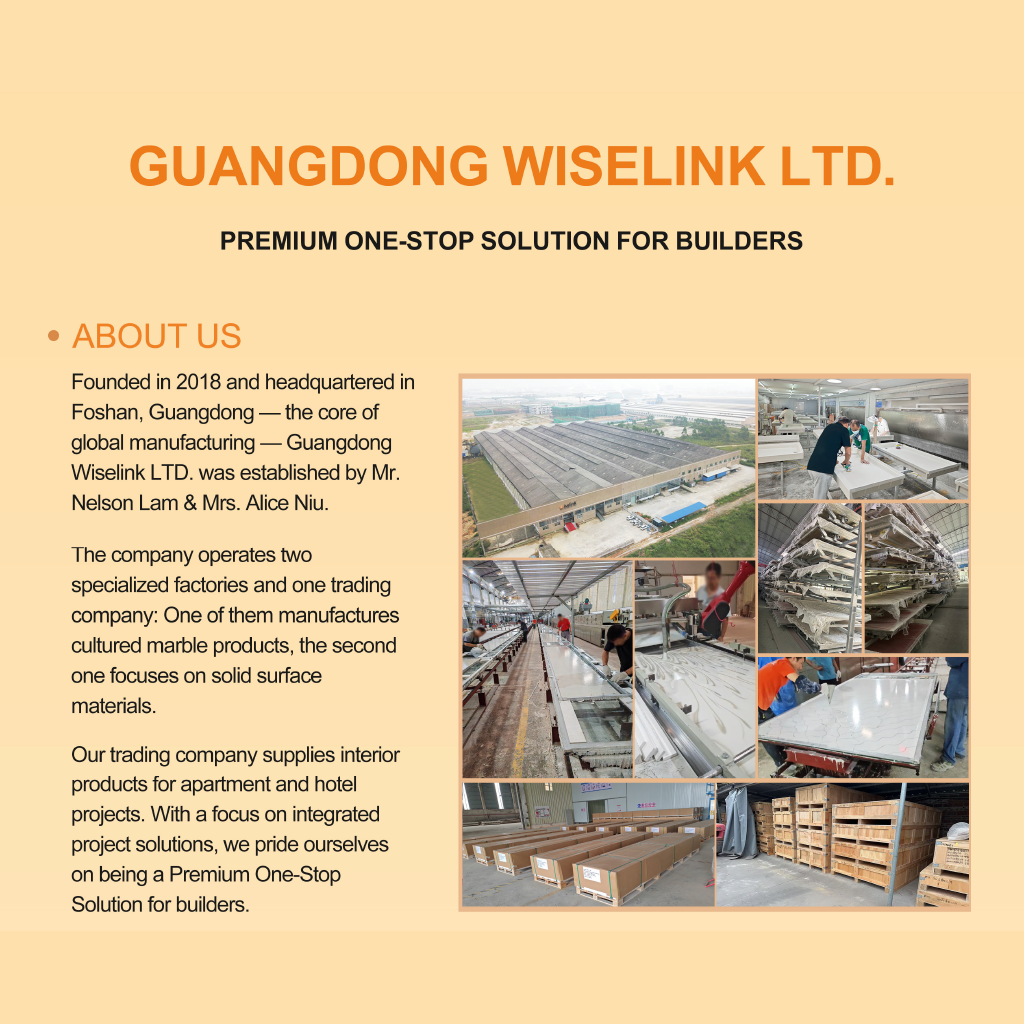 Wiselink-Company-Profile-- 