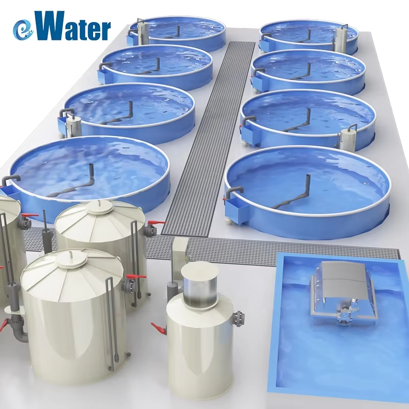 Top 10 water based system aquaculture Factory In Australia