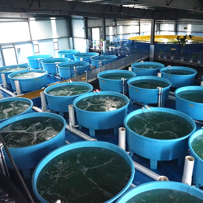 Pisciculture en intérieur : une méthode à haute densité pour l'aquaculture en intérieur