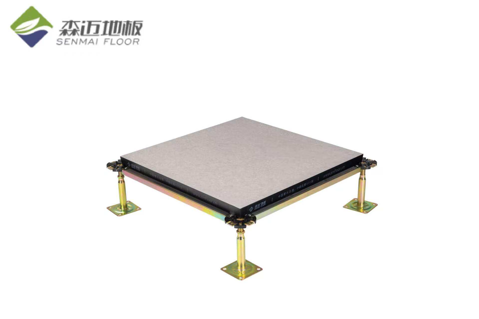 Premium Raised Floor Solutions for Server Rooms