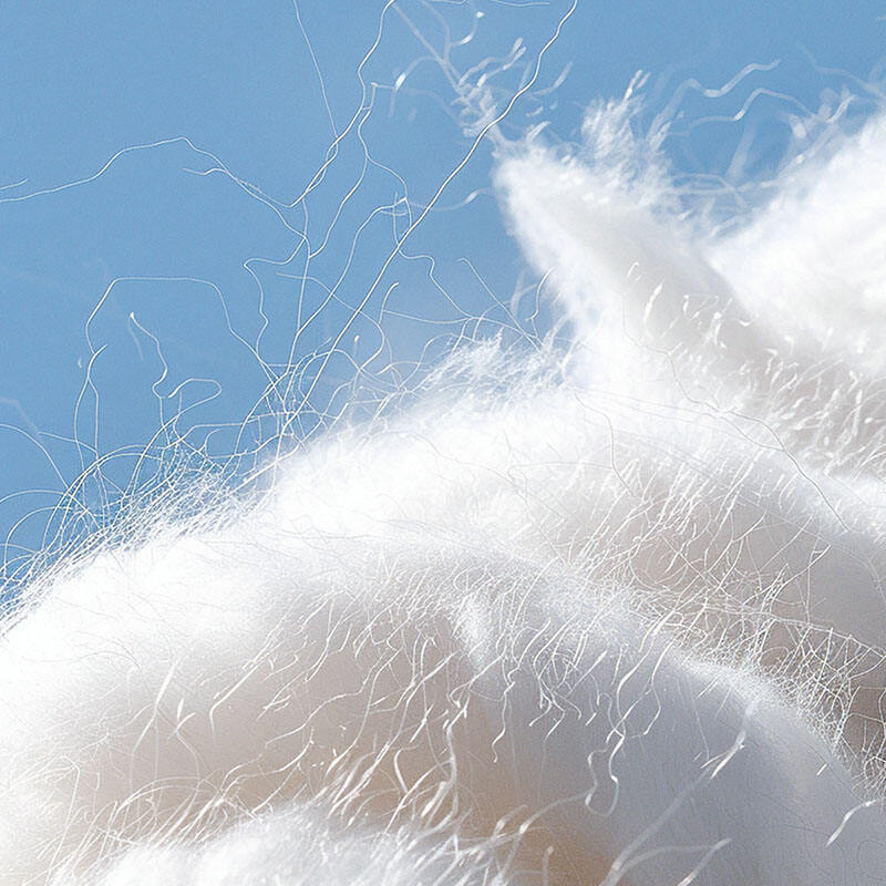 Qu'est-ce qu'une fibre naturelle ?