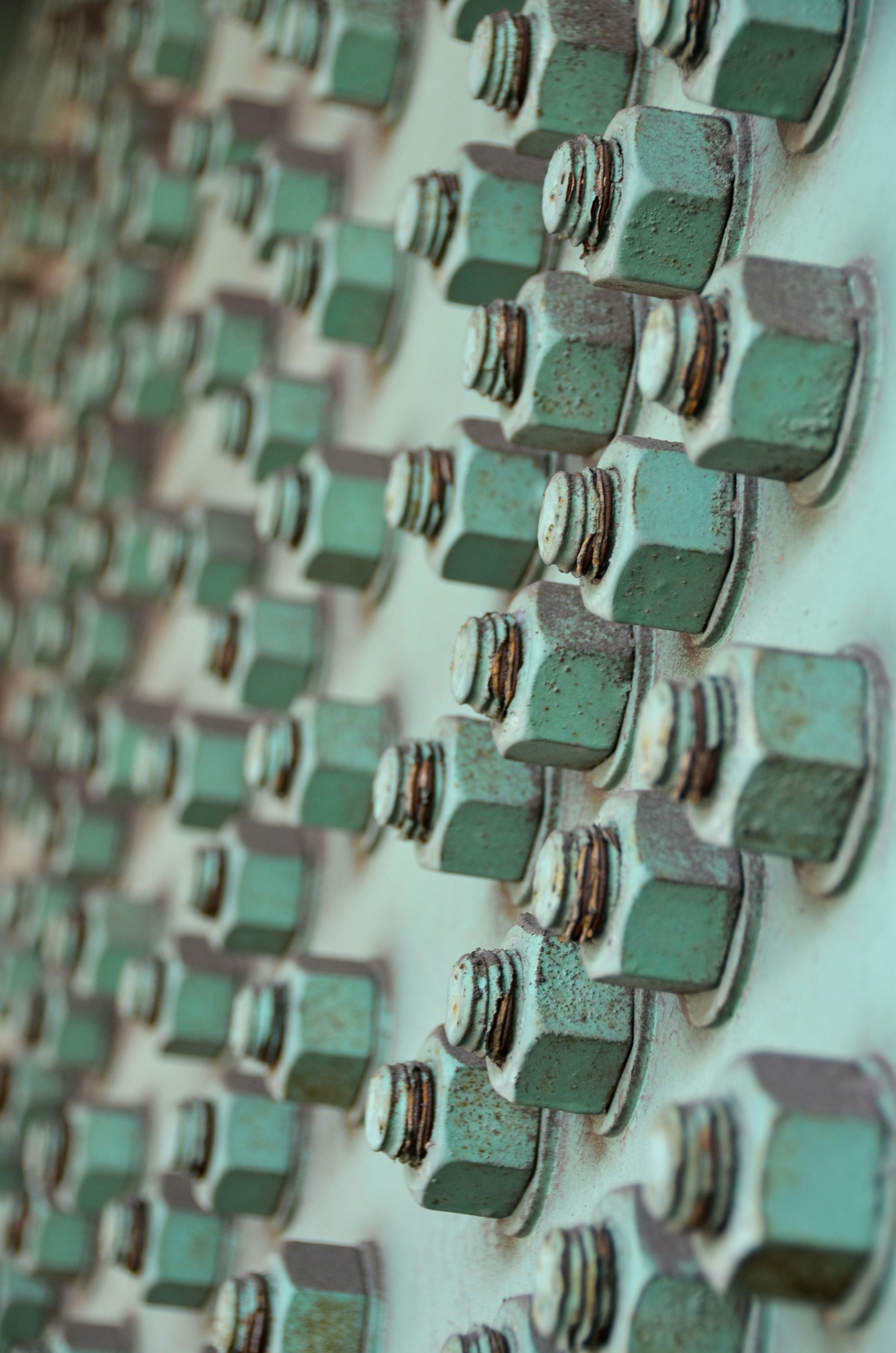 How to Maintain Stainless Steel Screws for Longevity
