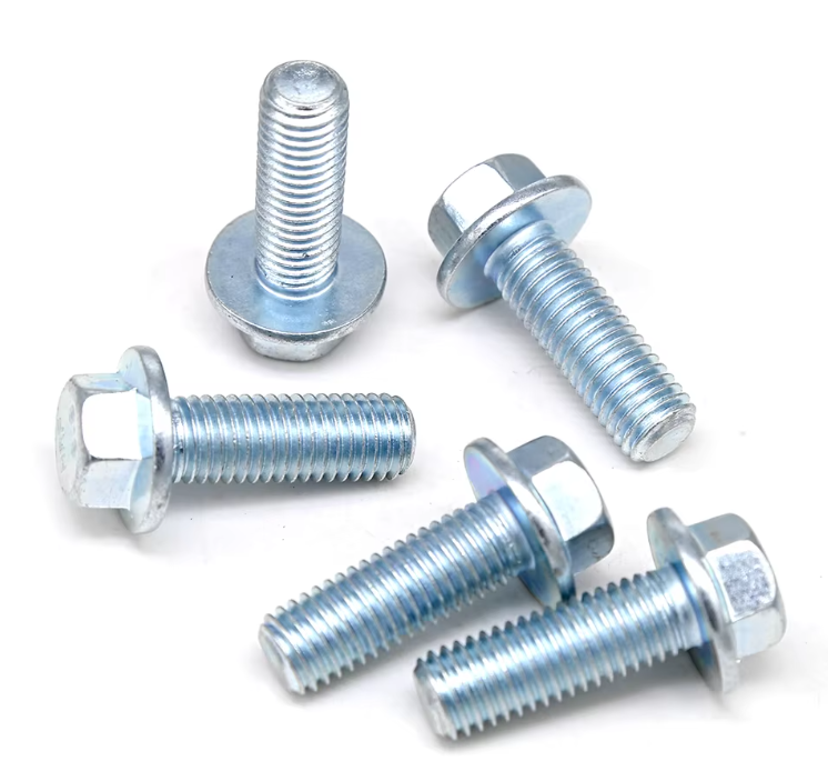 Expertise and Support