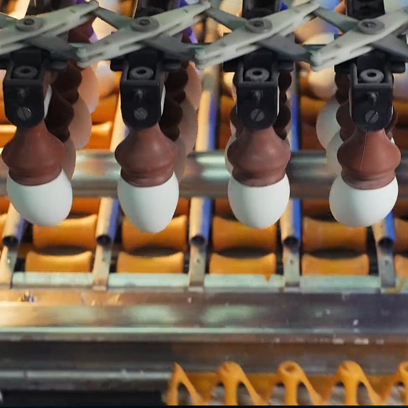 Streamline Poultry Farm Egg Handling with Pneumatic Suction Cups