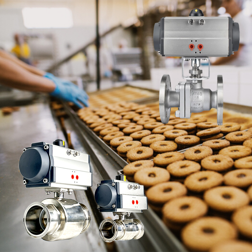 PSQCA Certified Sanitary Valves for Lahore Food Processing HACCP Compliance