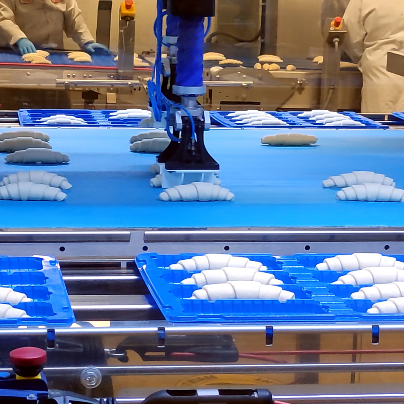 Kemasan Makanan Cerdas: Suction Cup Antibakteri Tingkatkan Efisiensi Lini Produksi hingga 70%